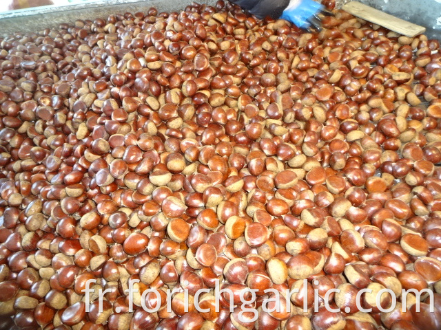 Best Quality New Crop Chestnut